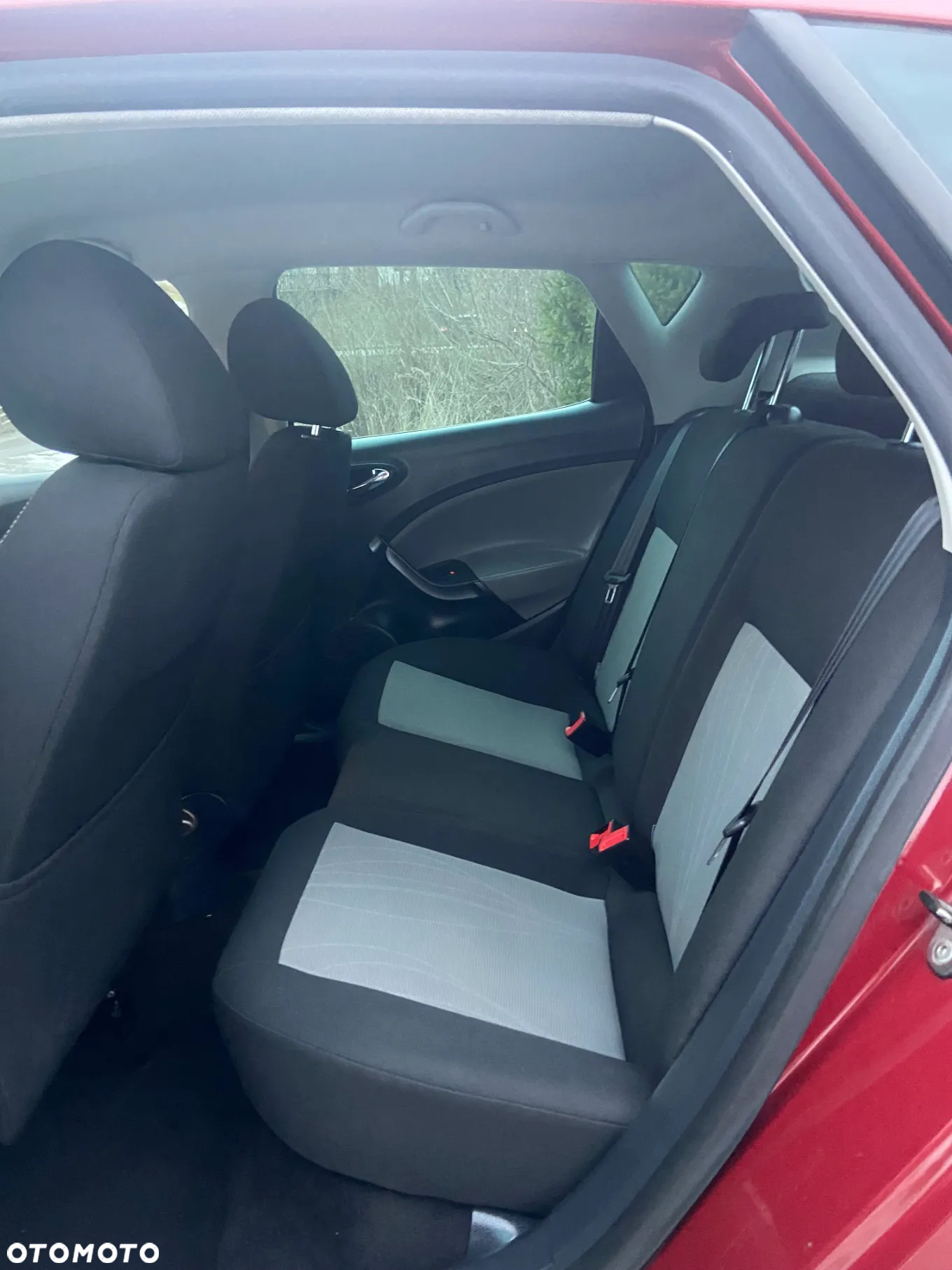 Seat Ibiza - 25