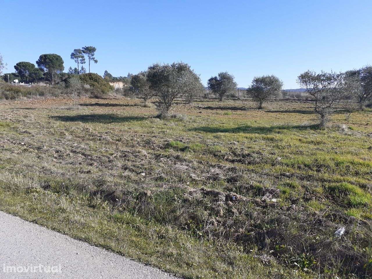 Terreno Rústico em Tomar - Grande imagem: 3/11