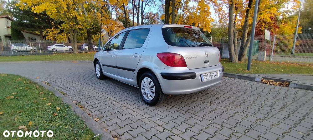Peugeot 307 - 5