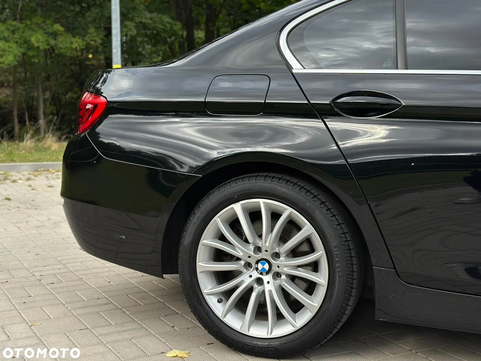 BMW Seria 5 520i Luxury Line - 10