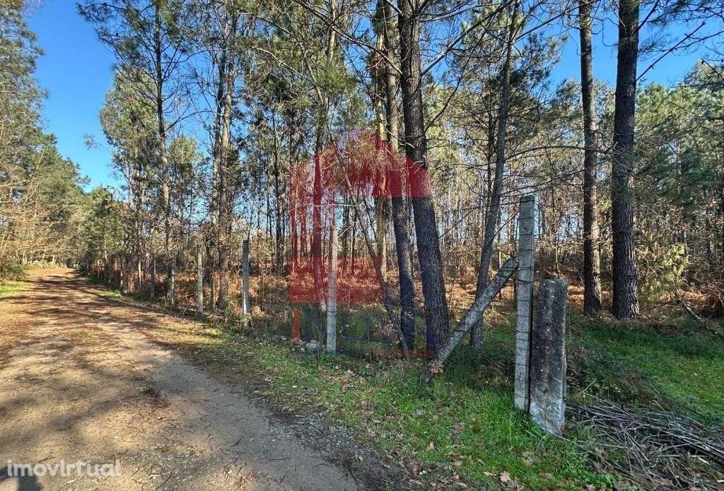 Terreno florestal, Lago - Grande imagem: 3/22