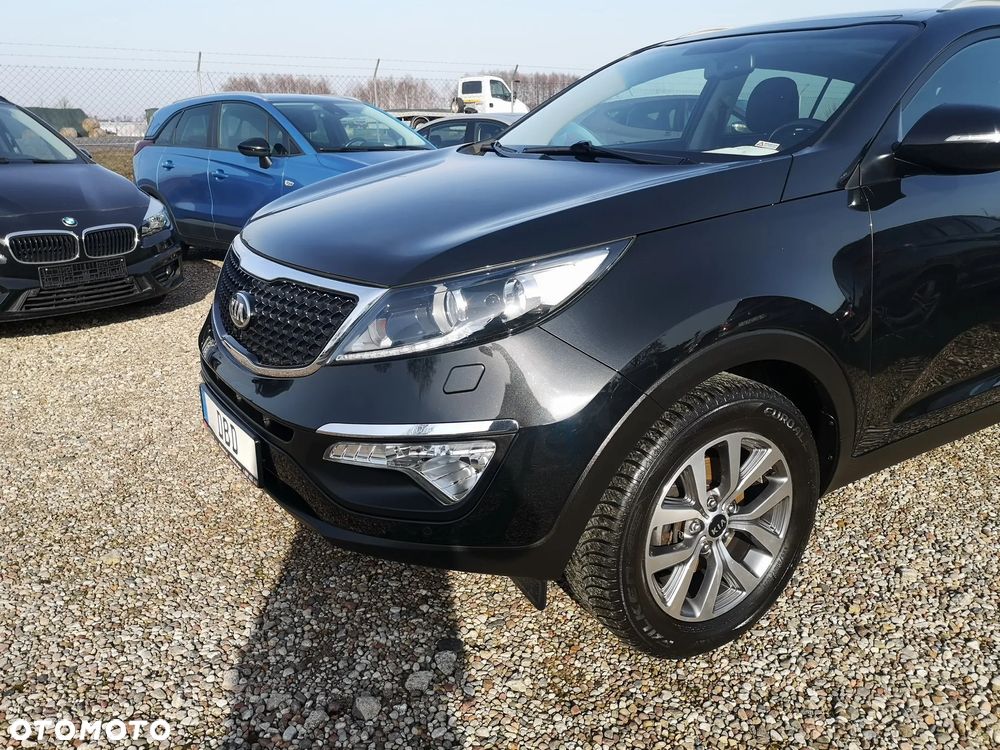 Kia Sportage - 1