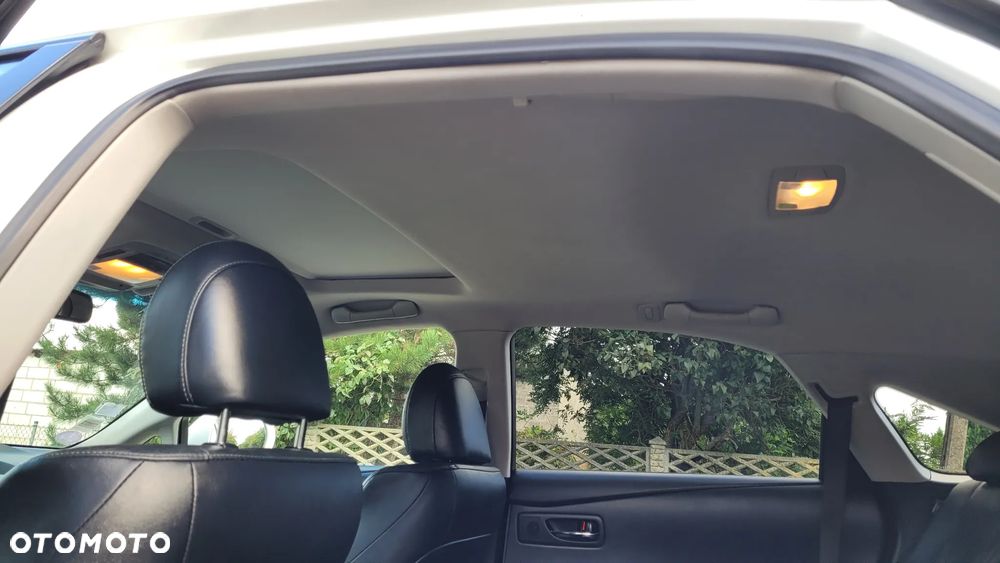 Lexus RX 450h (hybrid) - 19