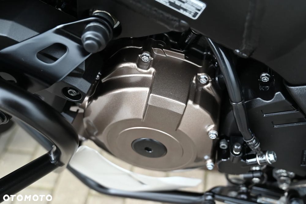 Suzuki V-STROM - 20