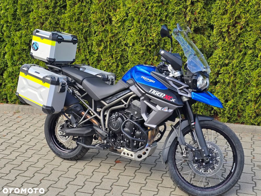 Triumph Tiger - 1