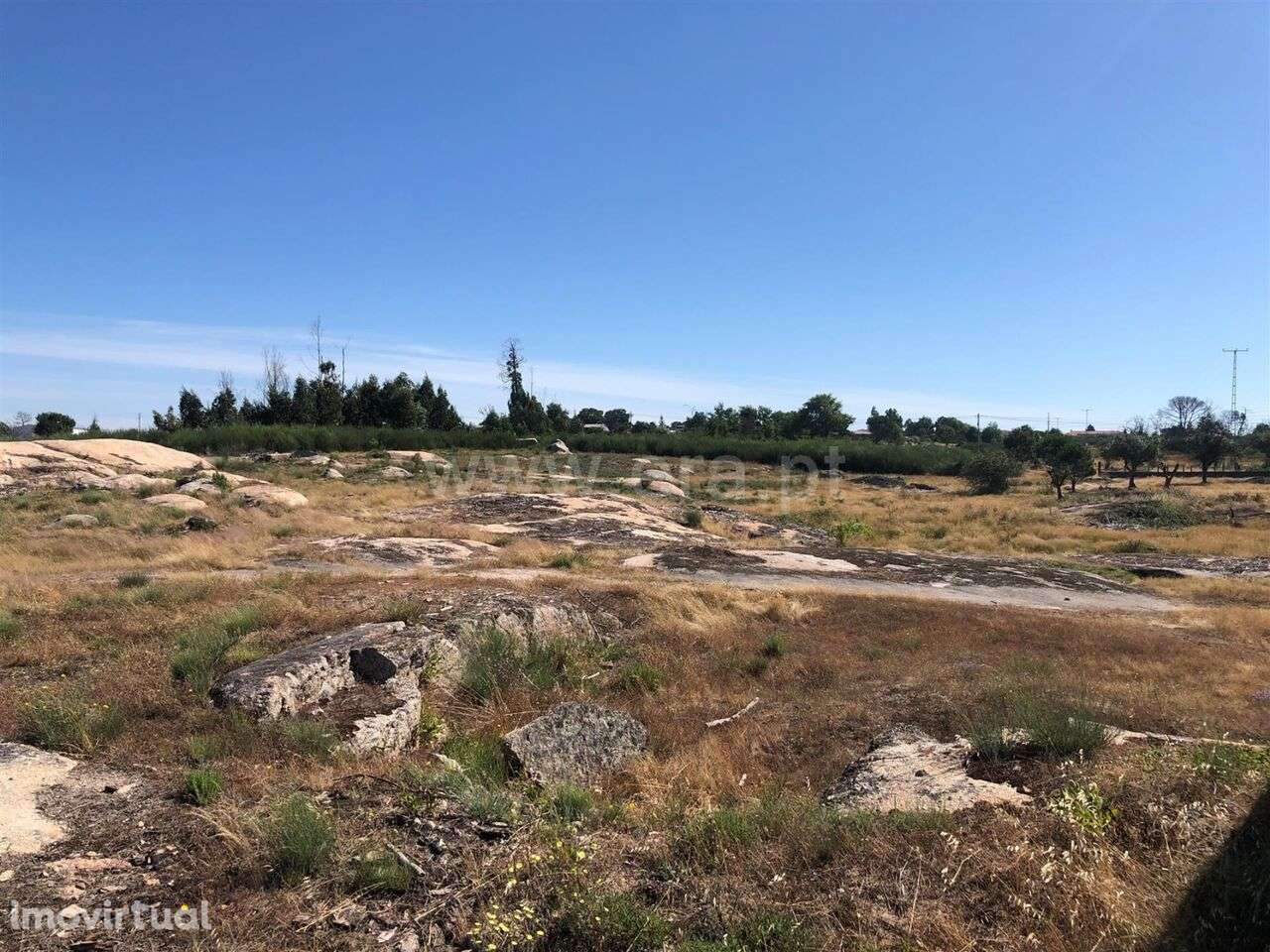 Terreno / Seia, Tourais e Lajes - Grande imagem: 4/15