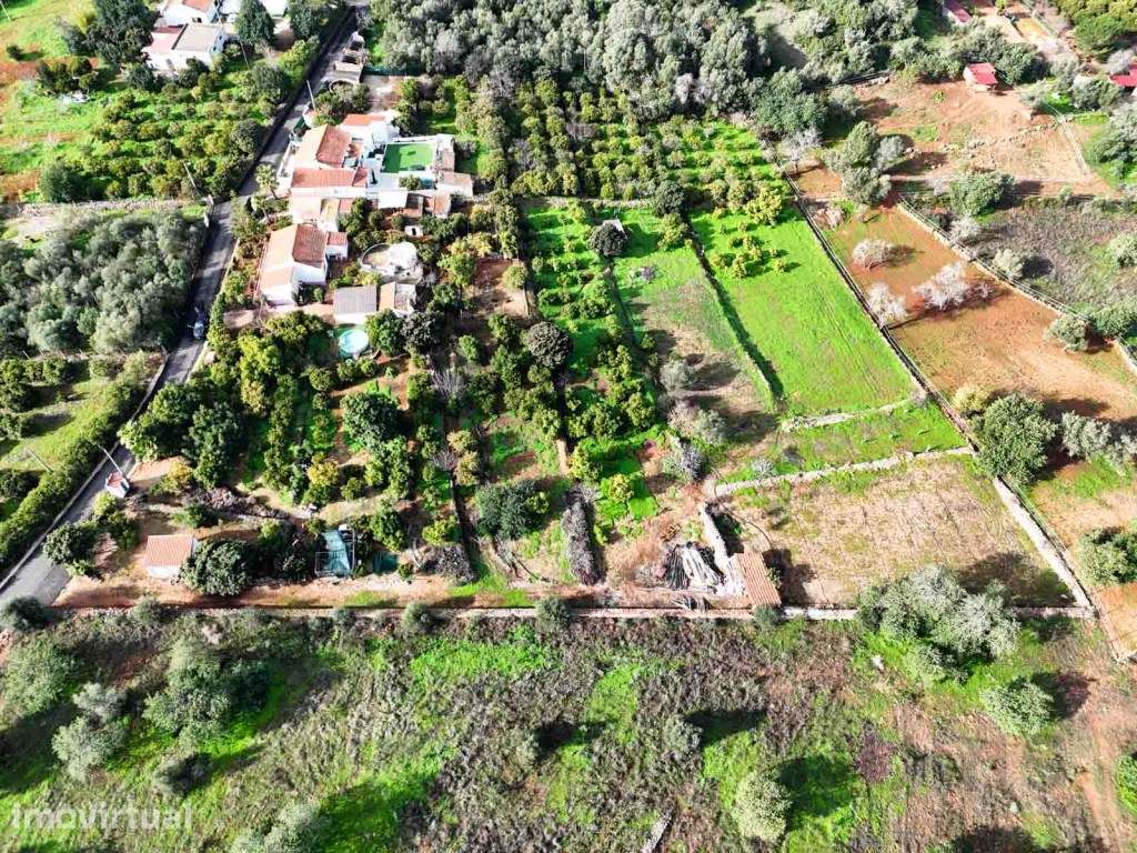 Quinta T3 com 10000 m² de Terreno para venda em Tufos - Silves - Grande imagem: 5/33