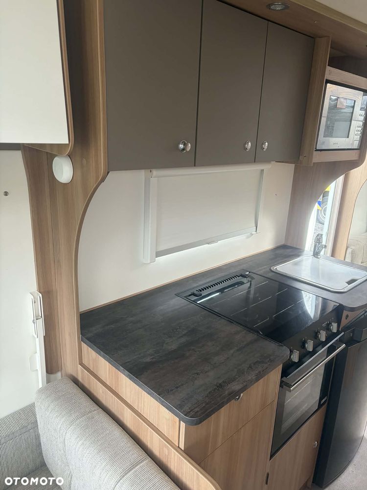 Bailey Unicorn CADIZ - 5