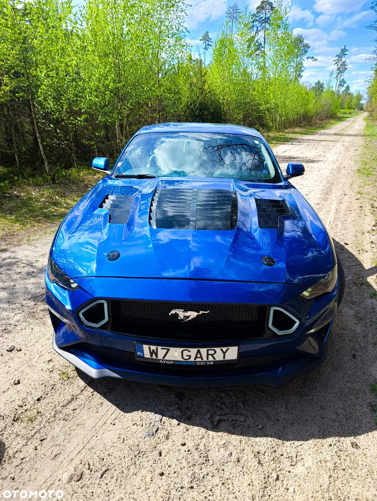 Ford Mustang Fastback 5.0 Ti-VCT V8 MACH1 - 3
