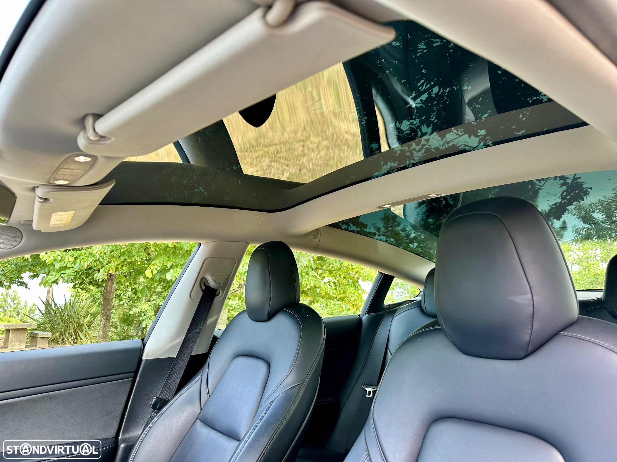 Tesla Model 3 Standard RWD Plus - 10