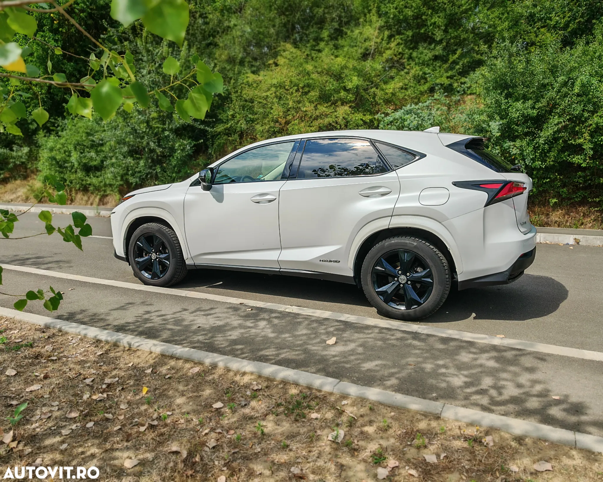 Lexus Seria NX 300h E-FOUR Luxury Line - 6
