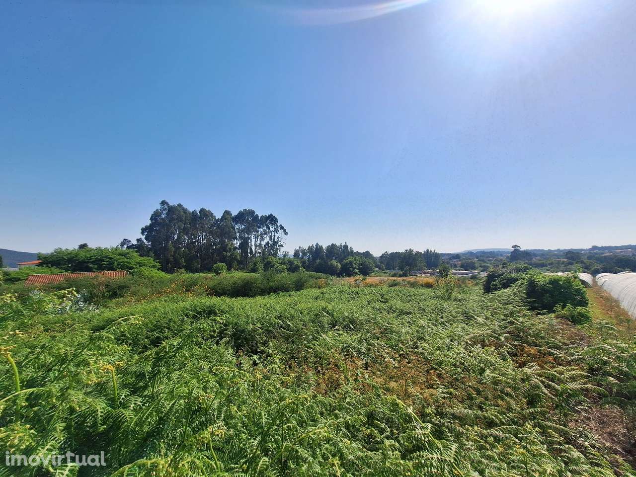 Terreno em Mujães, Viana do Castelo - Grande imagem: 4/6