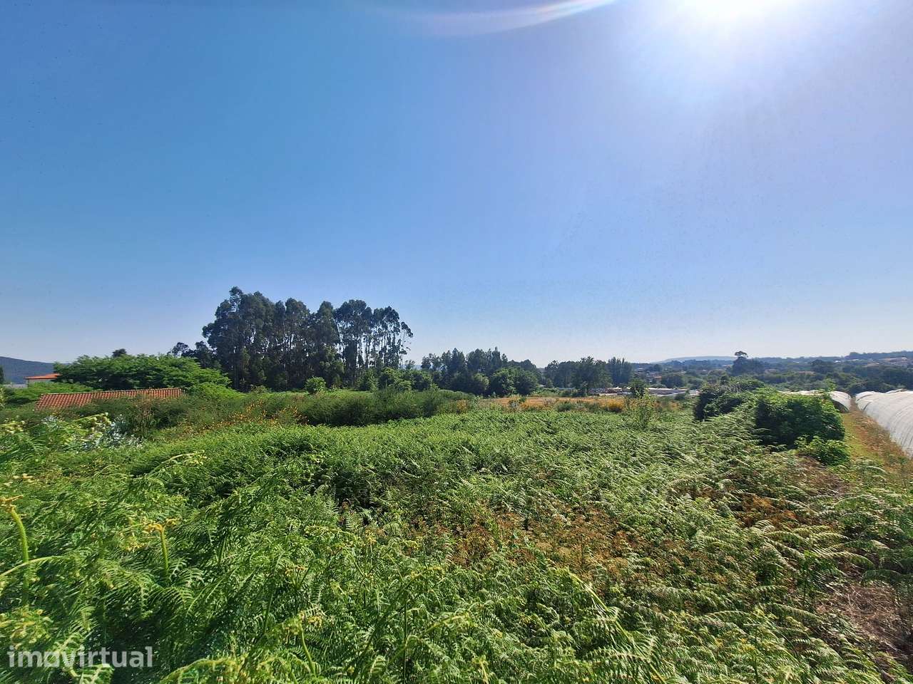 Terreno em Mujães, Viana do Castelo - Grande imagem: 4/6