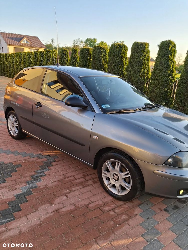 Seat Ibiza - 2