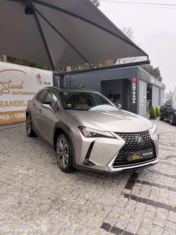 Lexus UX 300e - 1