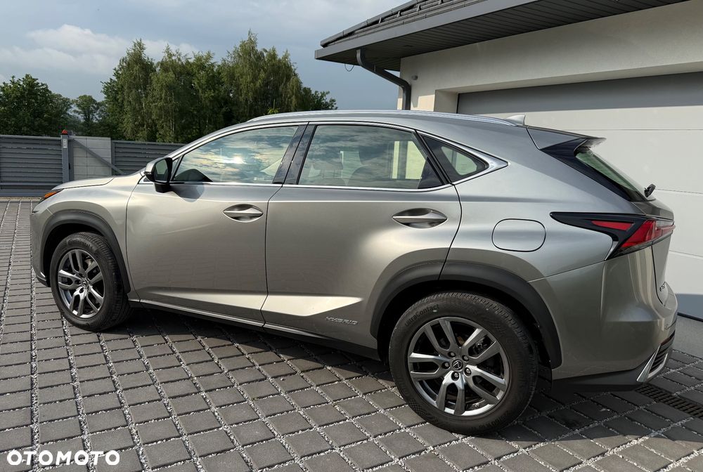 Lexus NX 350h Business AWD - 4