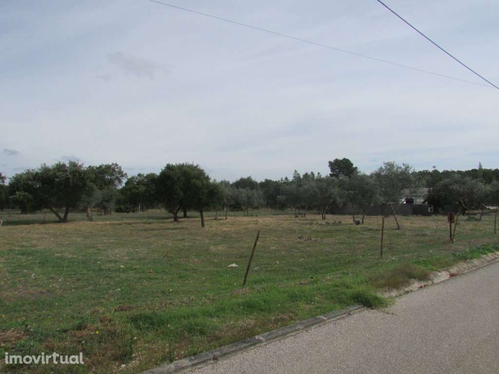 Terreno - Grande imagem: 2/11