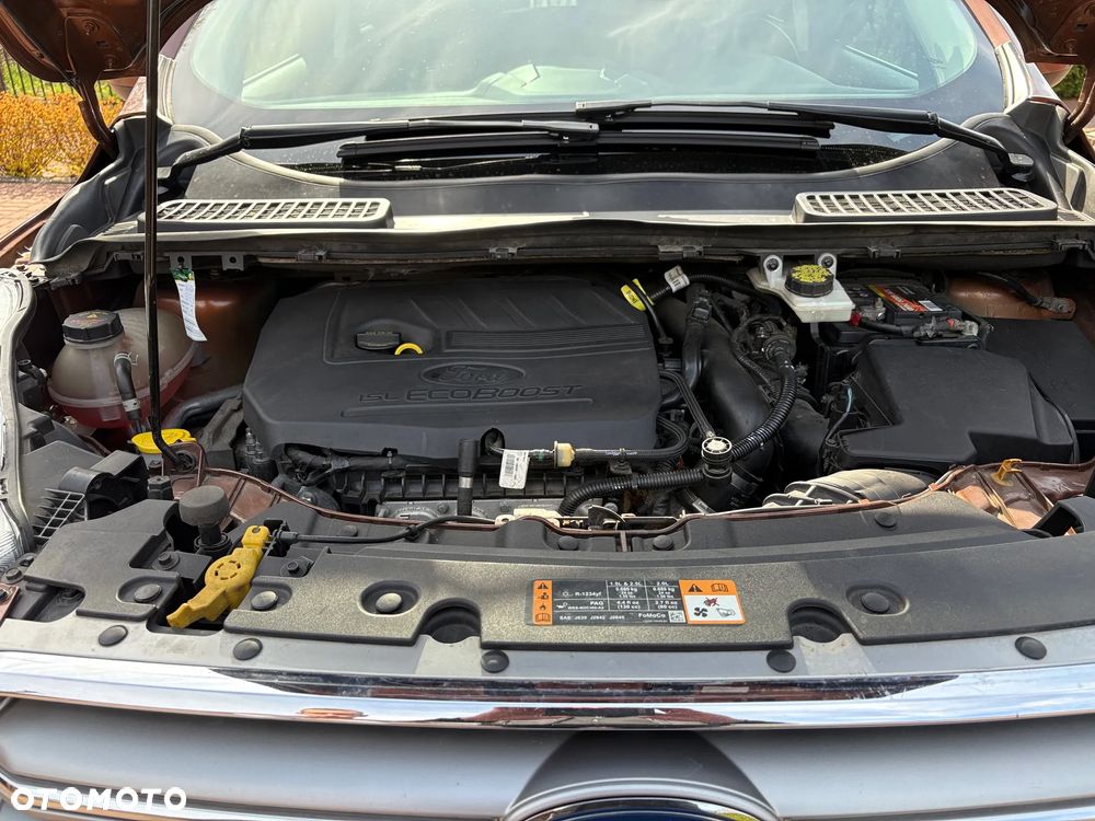 Ford Escape - 13