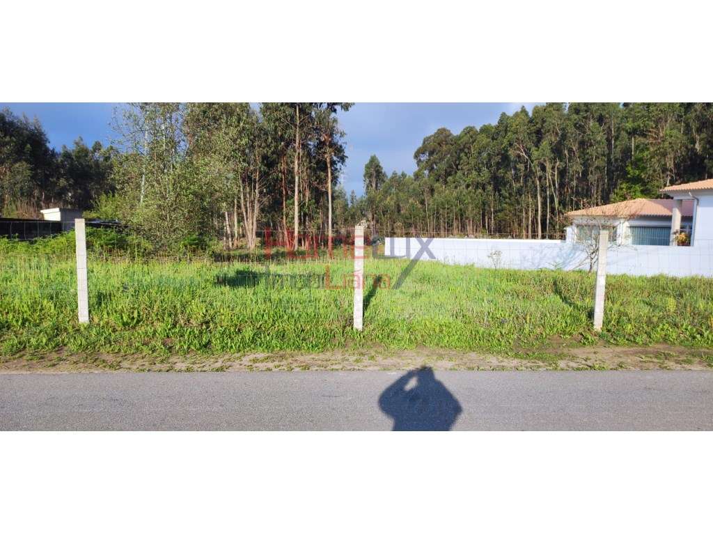 Terreno Urbano na Branca - Grande imagem: 2/14