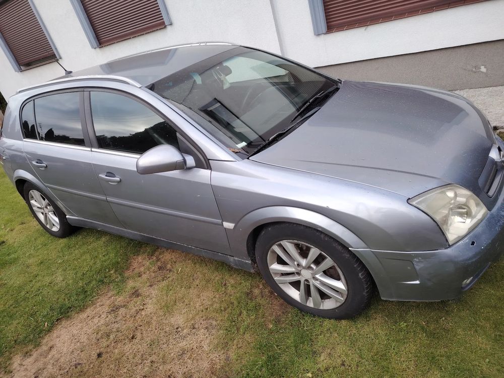 Używany Opel Signum 2003 - 3 800 PLN, 261 000 km - Otomoto.pl