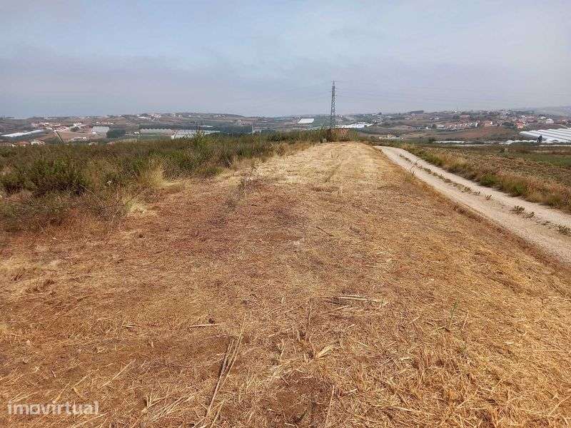 Terrenos (Arrendamento/Venda) - TORRES VEDRAS - Grande imagem: 3/4