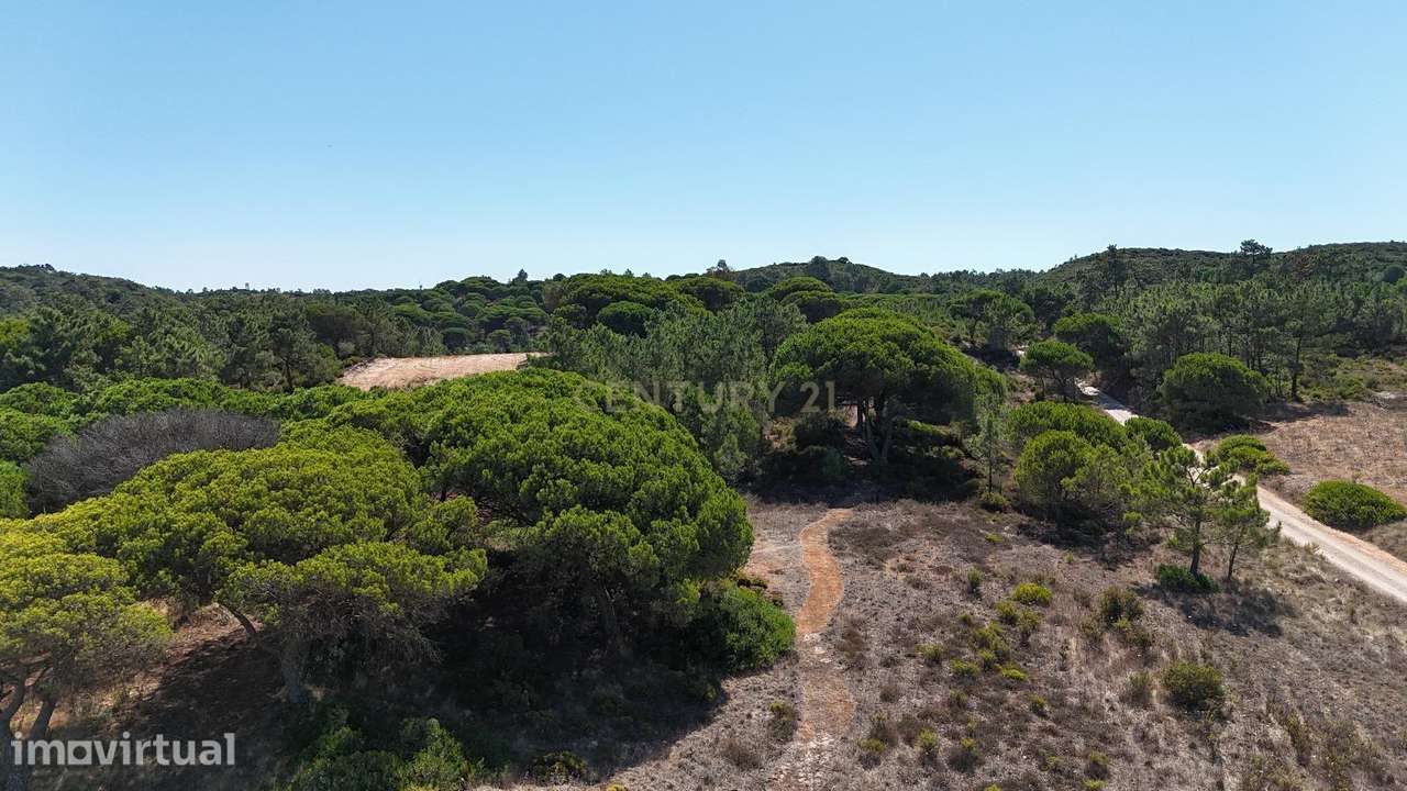 Terreno com área de 10.000m2 com projeto aprovado perto da Aldeia do M - Grande imagem: 4/18