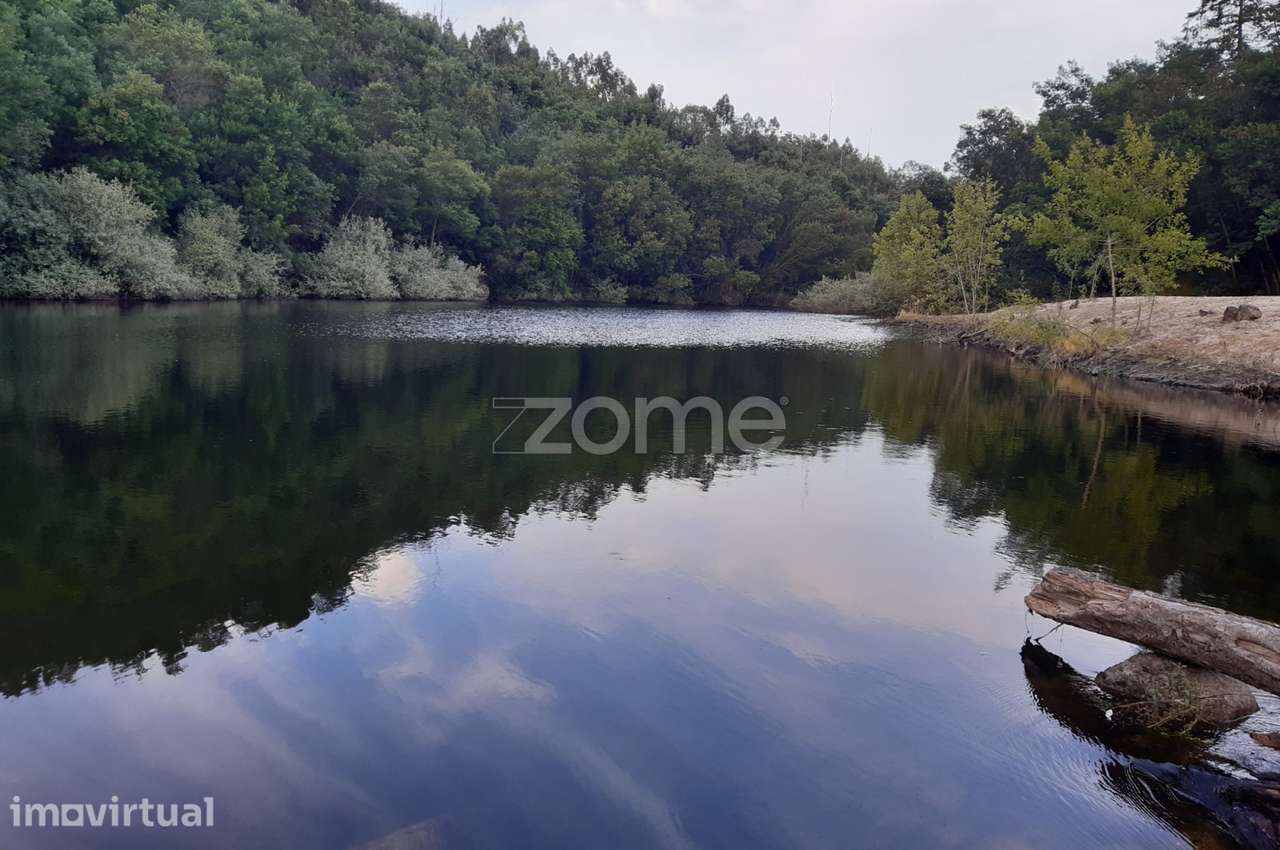 Quinta Junto ao rio Mondego - Grande imagem: 2/21