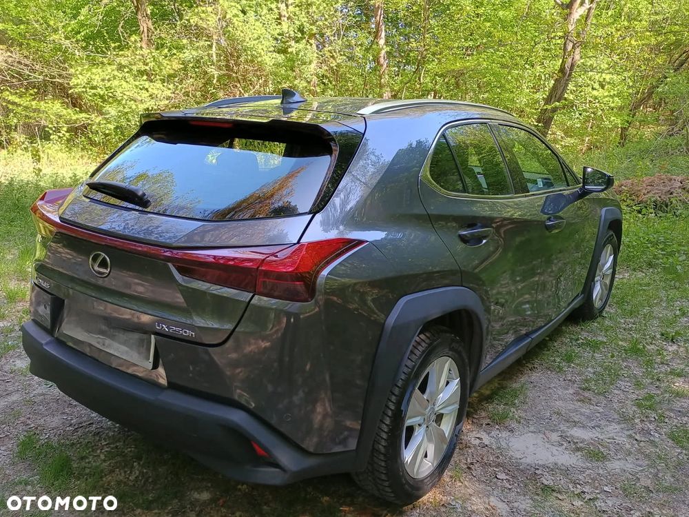 Lexus UX 250h Prestige 2WD - 25