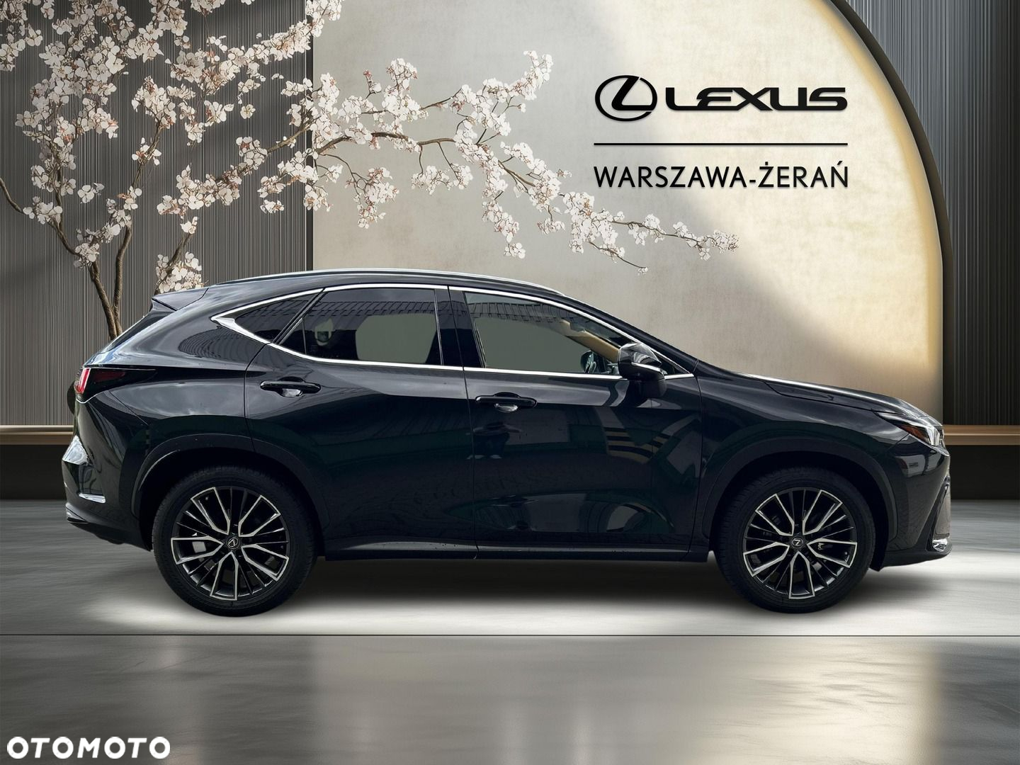Lexus NX - 8