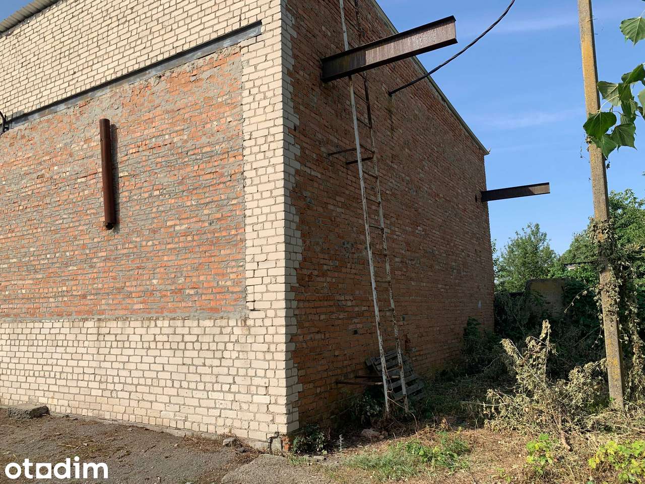Приміщення 595 м² у двоповерховій будівлі, продаж - Повне зображення: 3/8