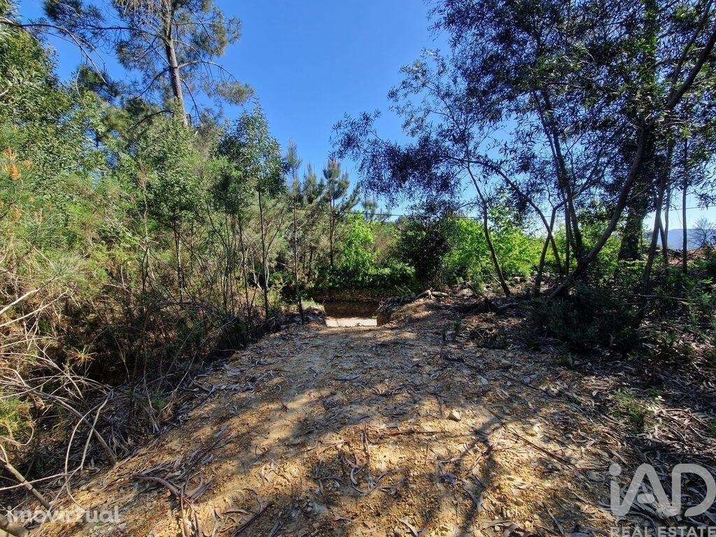 Terreno para construção em Nogueira, Meixedo e Vilar de Murteda de 321 - Grande imagem: 3/22