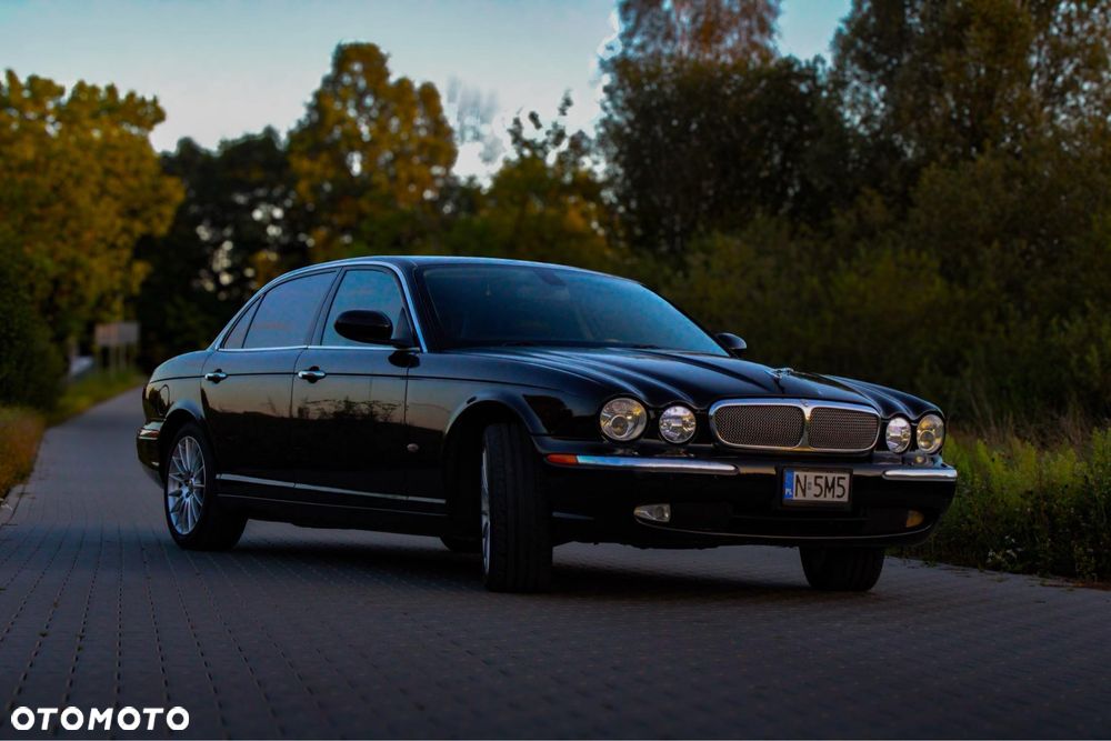 Jaguar Inny - 2