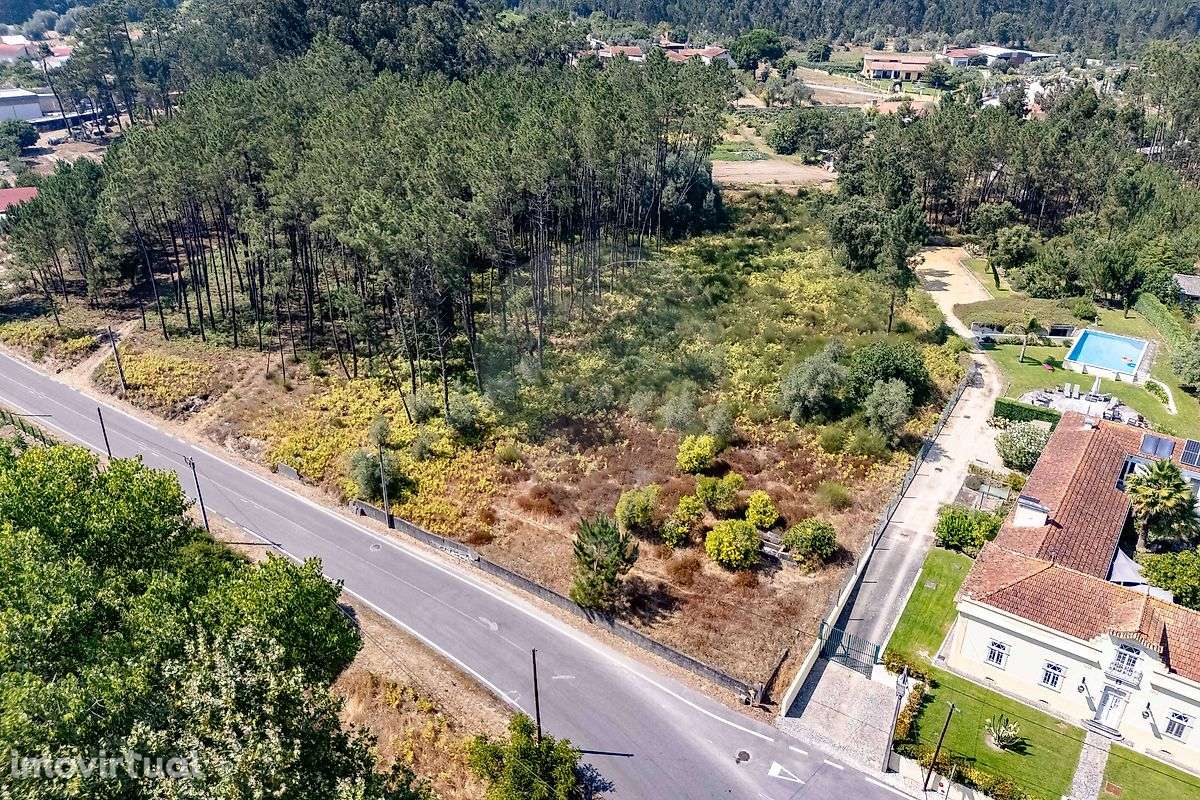 Terreno  para venda - Grande imagem: 5/6