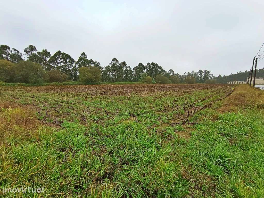 Terreno industrial em Covelas - Grande imagem: 4/5
