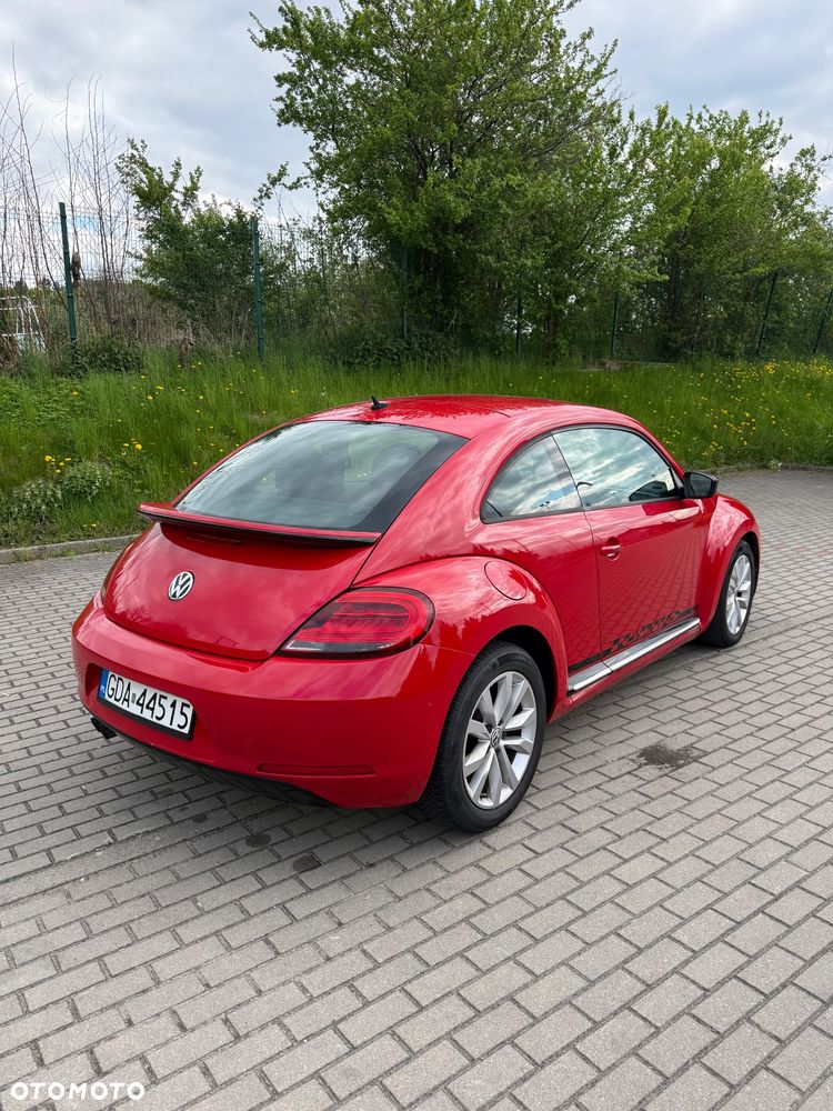 Volkswagen Beetle - 4