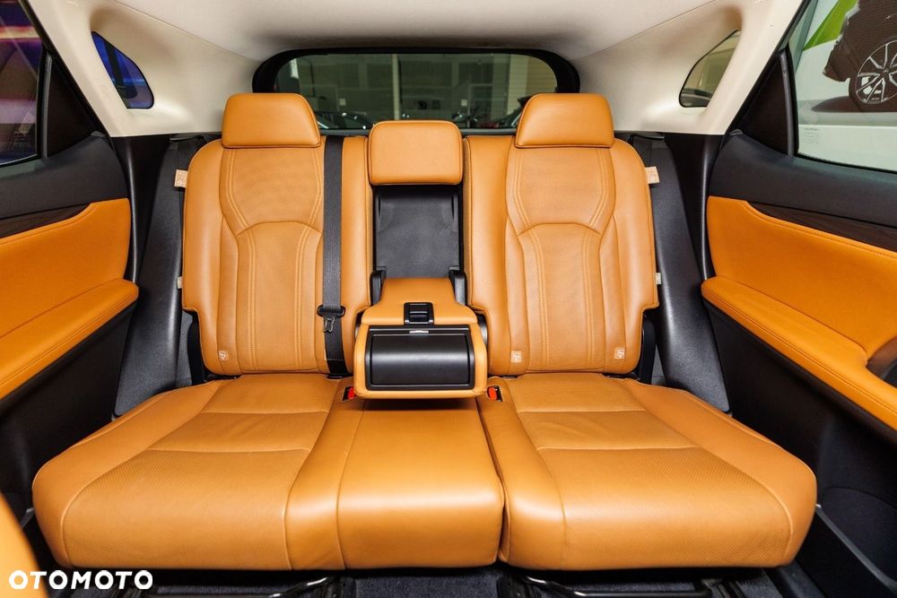 Lexus RX - 19