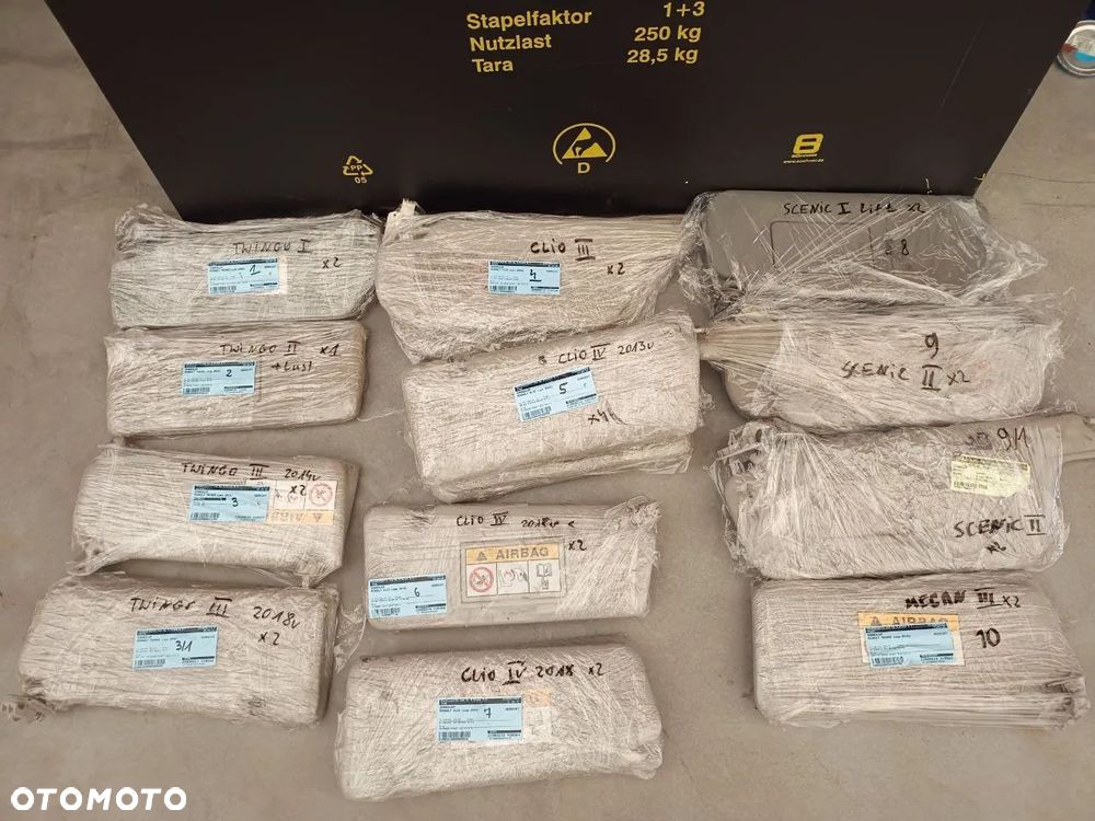 SŁONECZNIKI  RENAULT