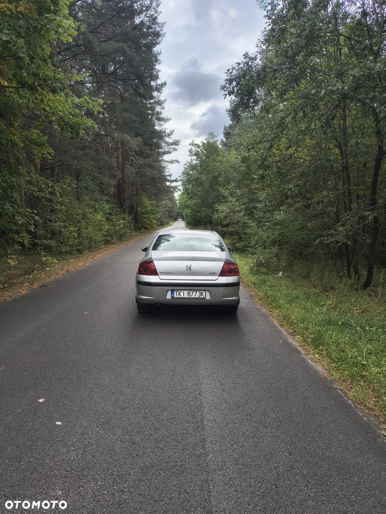 Peugeot 407 - 4