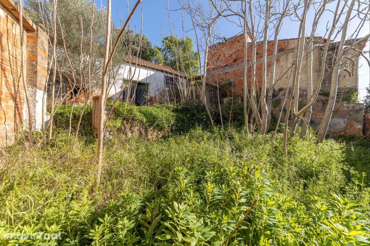 Armazém  Venda em Chamusca e Pinheiro Grande,Chamusca - Grande imagem: 3/12