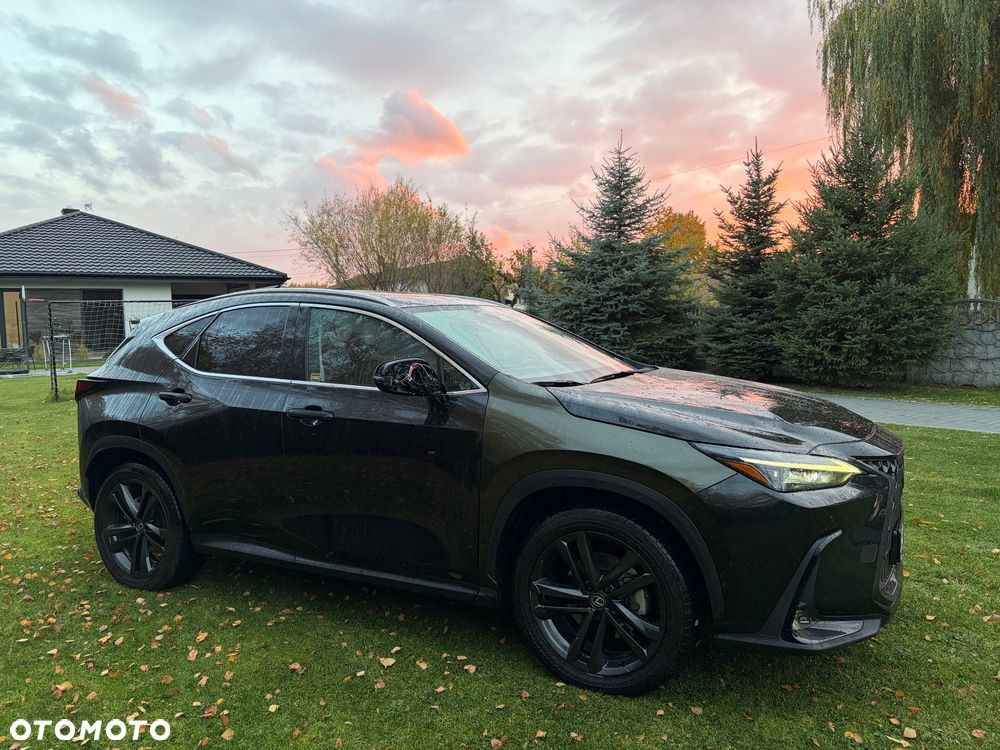 Lexus NX - 9