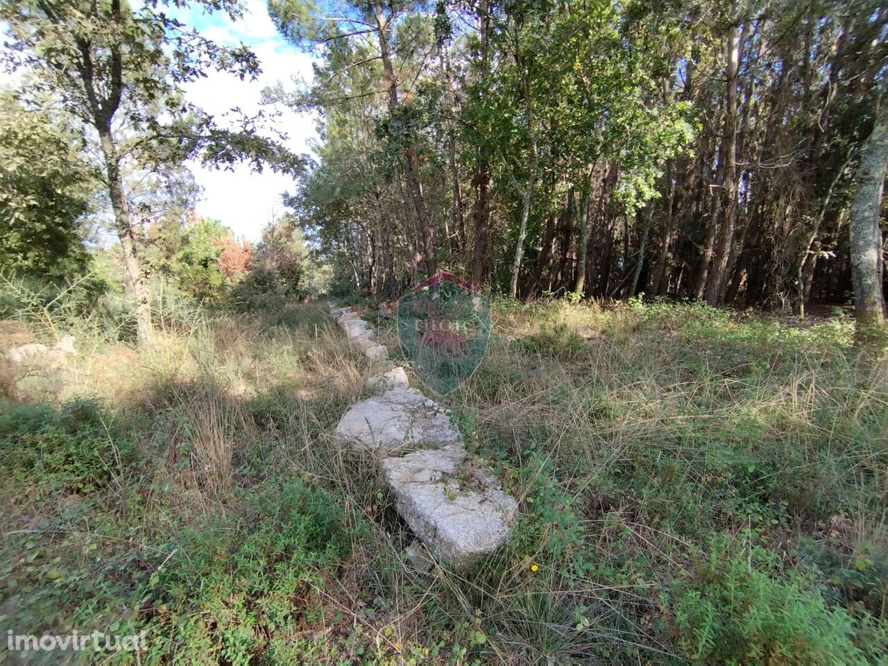 Terreno  Venda em São Pedro de France,Viseu - Grande imagem: 2/17
