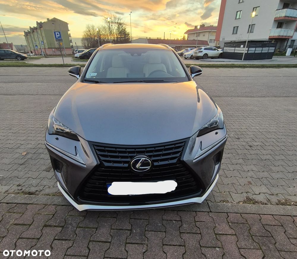 Lexus NX - 4