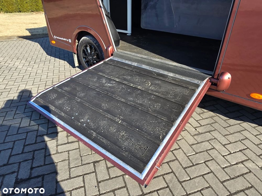 Renault Master Koniowóz - 5