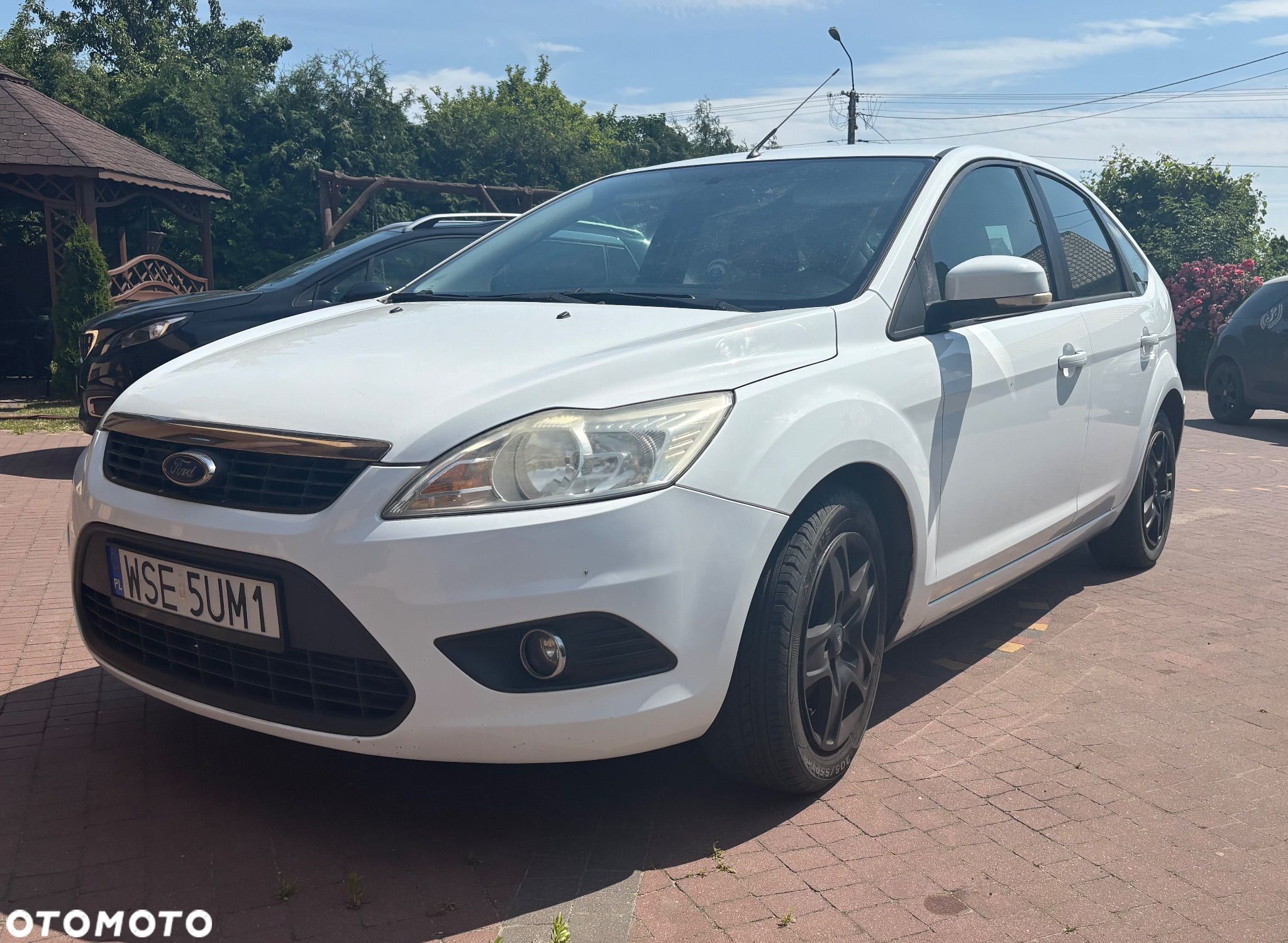 Ford Focus 1.6 TDCi Ambiente - 1