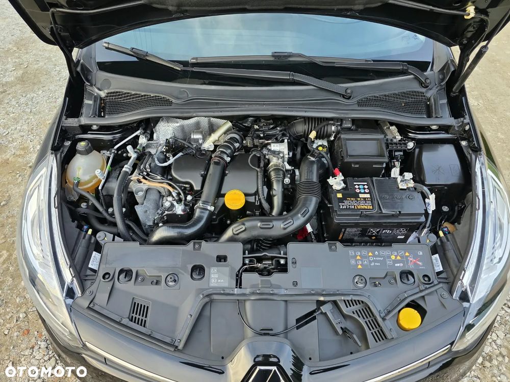 Renault Clio - 24