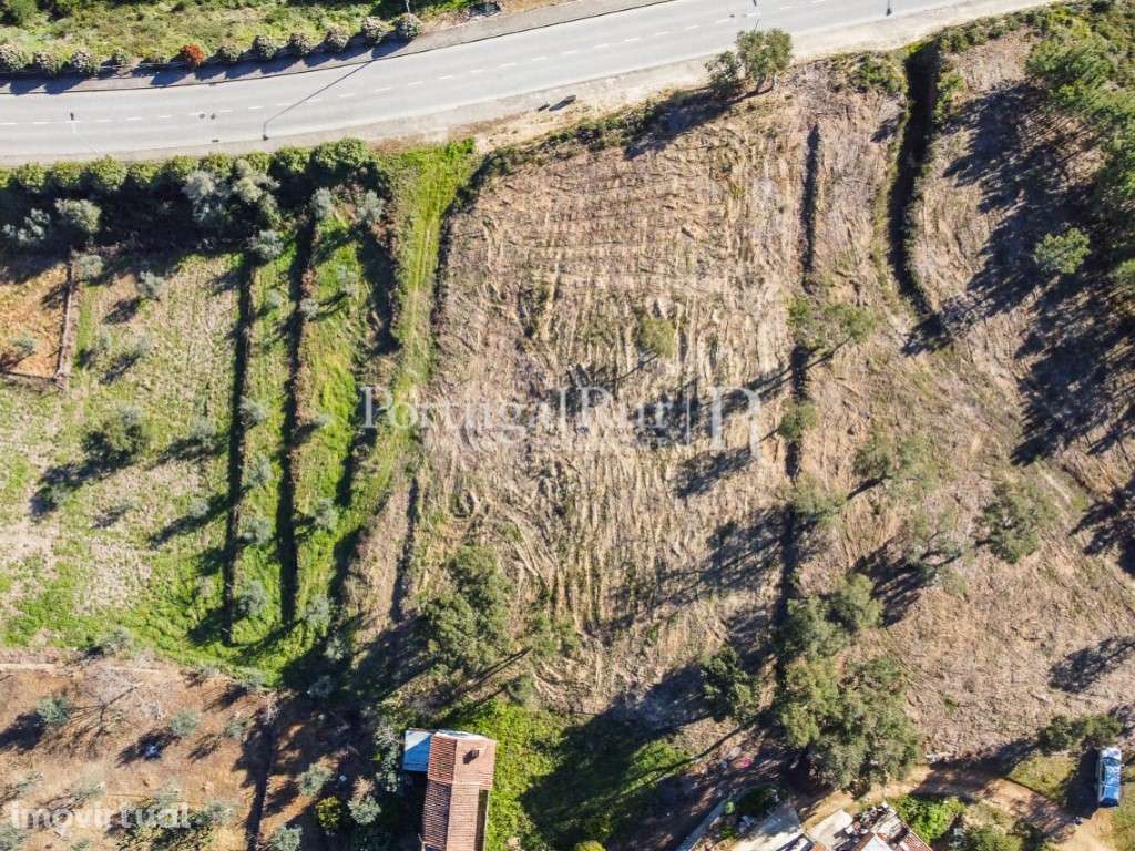 Lotes de terreno com aptidão para construção - Grande imagem: 3/16