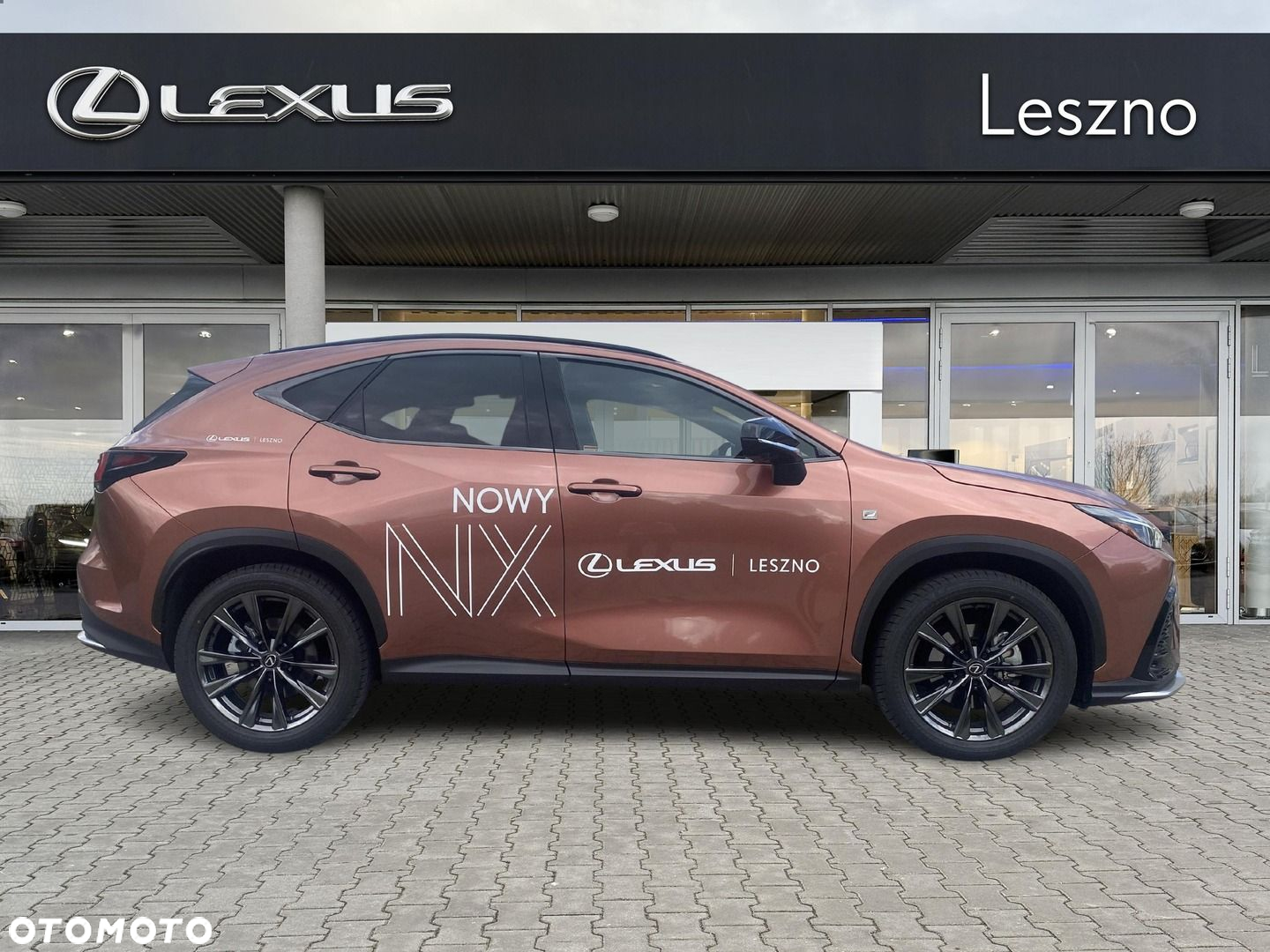 Lexus NX - 10