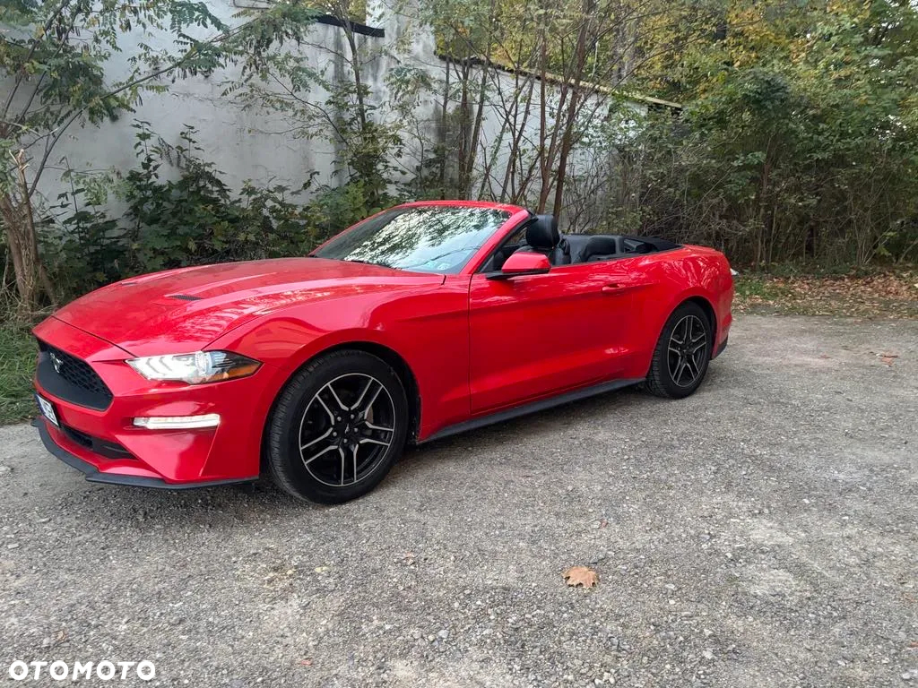 Ford Mustang - 6
