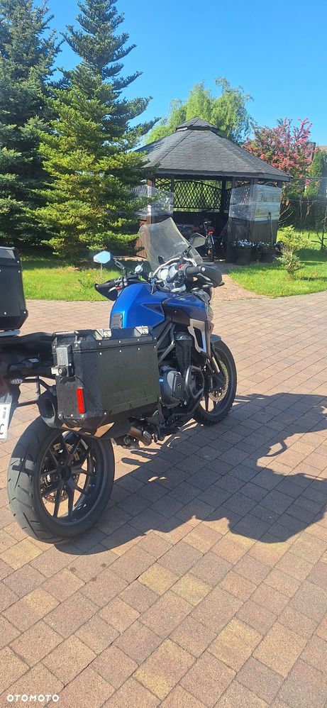 Triumph Tiger - 11