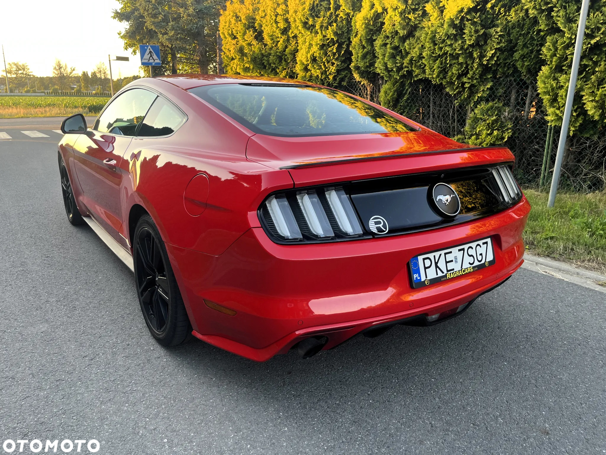 Ford Mustang 2.3 EcoBoost - 7